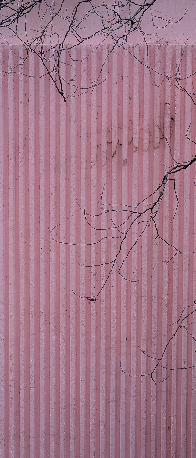 Claire Chassot IMG